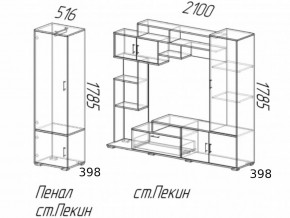 Гостиная Пекин с пеналом Ясень Шимо в Аше - asha.magazinmebel.ru | фото - изображение 2