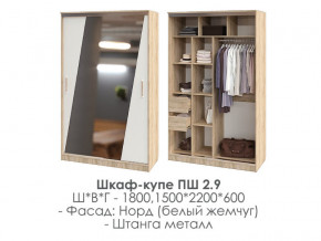 шкаф-купе ПШ-2.9 1500 Норд Белый жемчуг 1500 в Аше - asha.magazinmebel.ru | фото